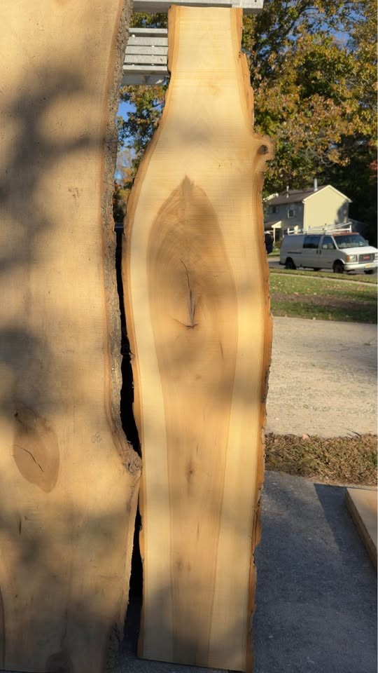 Live Edge Slabs - Image 5