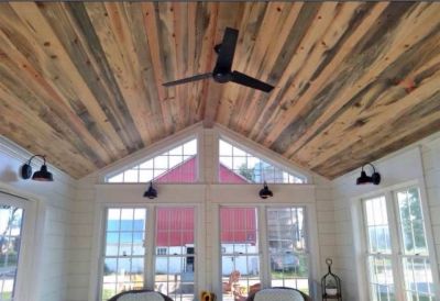 Rustic Rare and Beautiful Blue Pine 1x6x16’