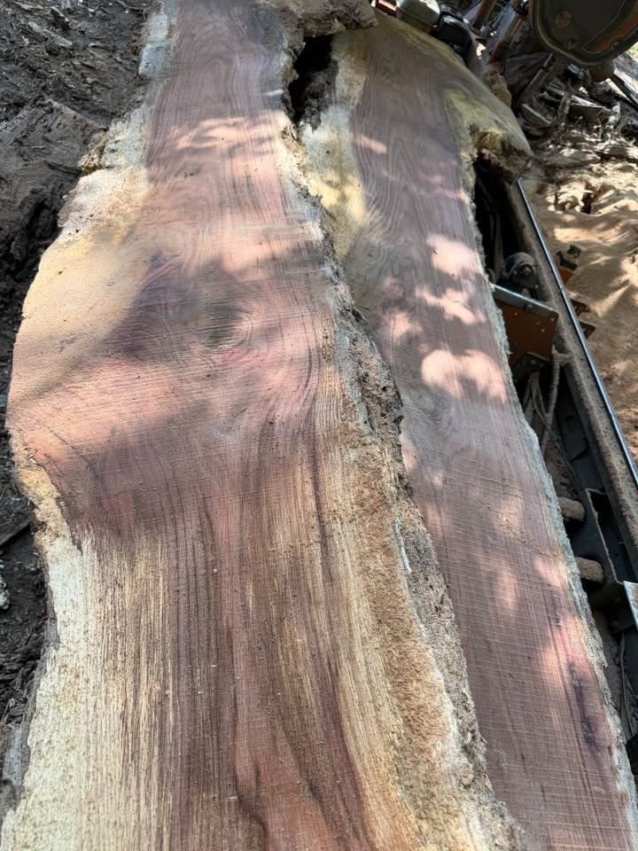 2” live edge slabs - Image 3