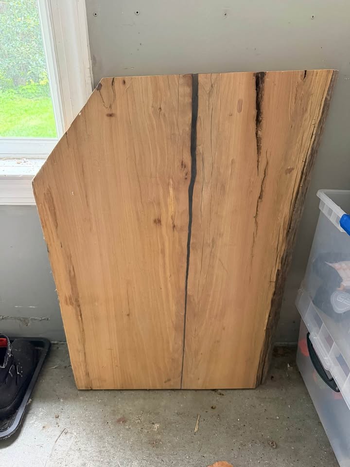 Live Edge Elm Wood Slab - Image 4