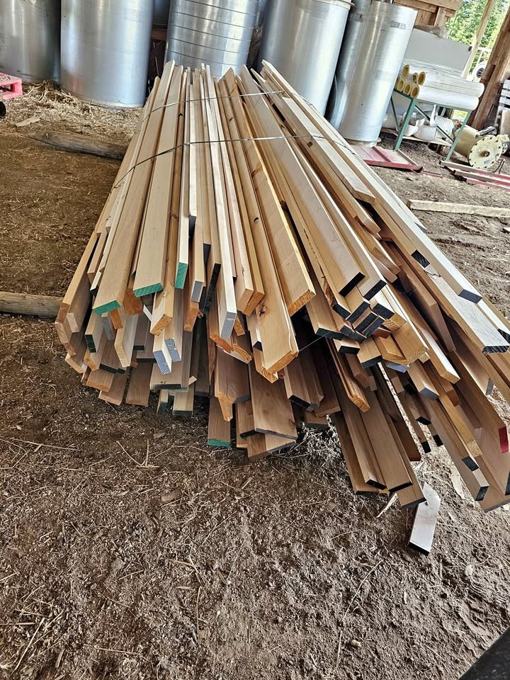 Wood - Image 1