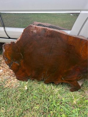 Large Live Edge Burl wood polished slabs