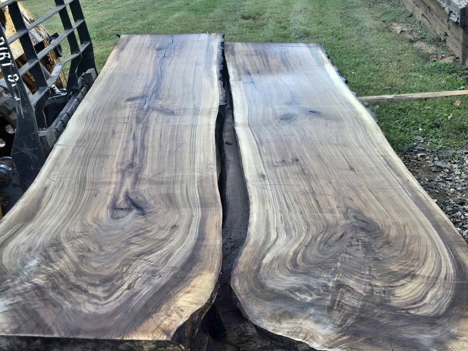 Live Edge Black Walnut Slabs - Image 1