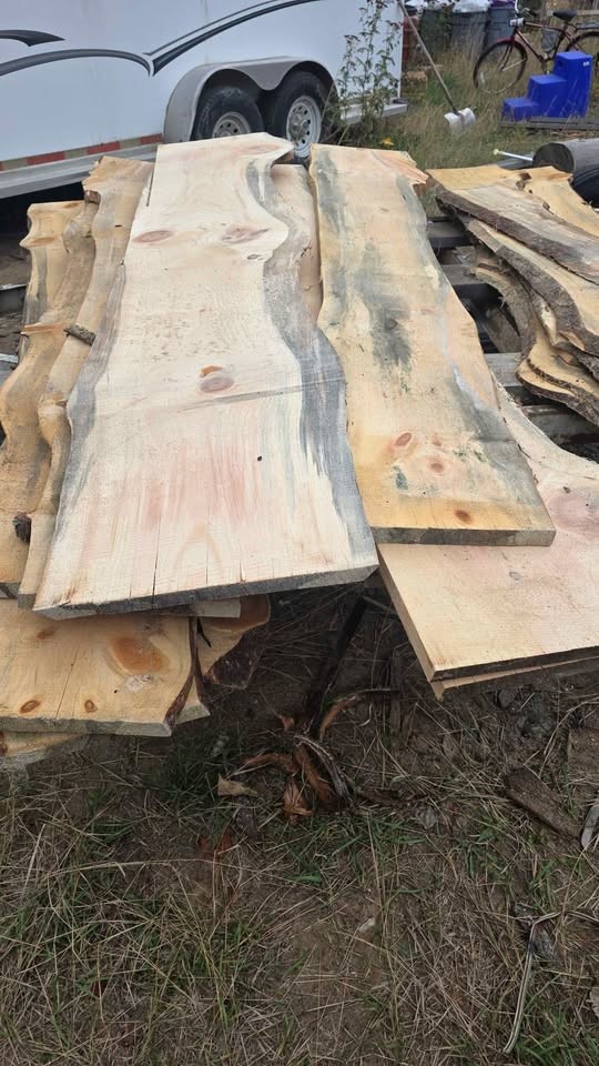 White pine slabs one inch - Image 3