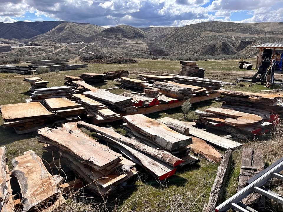 Free Wood Slabs Next Tuesday - Image 1