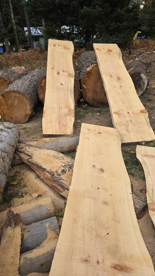 White pine slabs 2 inch - Image 2