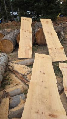 White pine slabs 2 inch