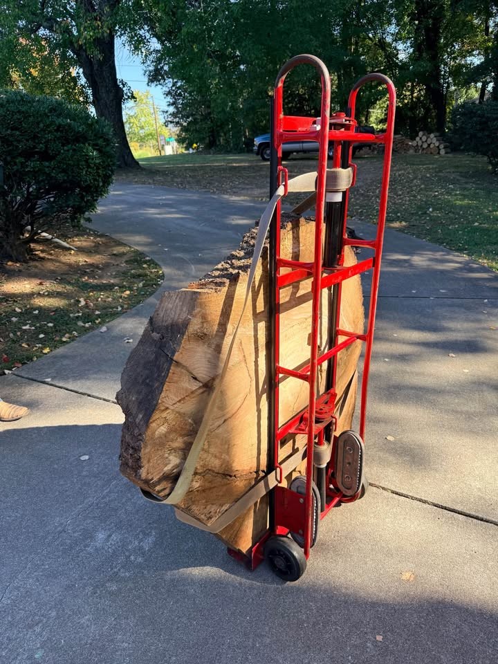 Huge 46" Live Edge Wood Cookie Slab - 4.5" Thick - Image 2