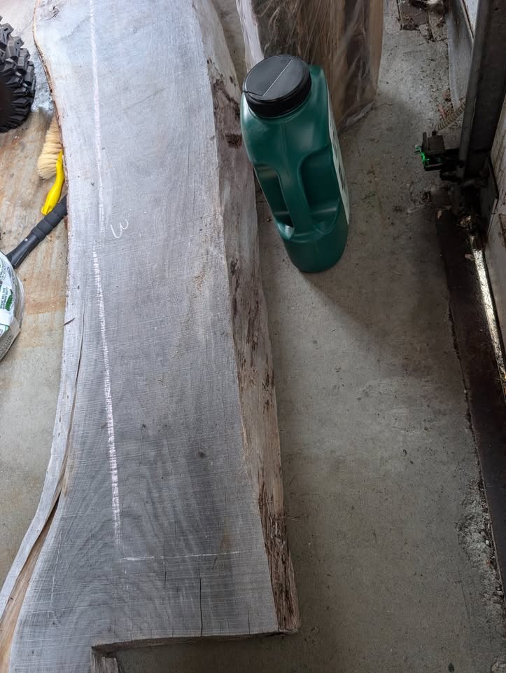 Live Edge Black Walnut Slab - Image 3