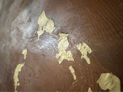 Live edge table top
