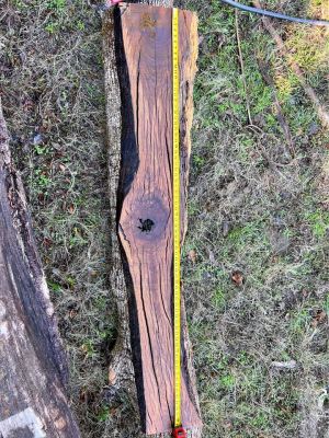 Hollow oak live edge mantle