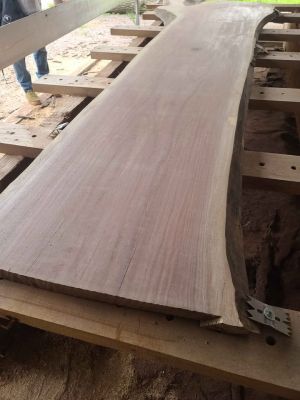 Giant Walnut Slabs