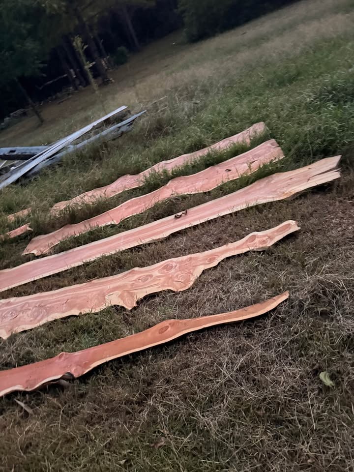 Live Edge Cedar Wood Slabs - Image 3
