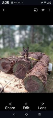 Redwood Slabs & Lumber