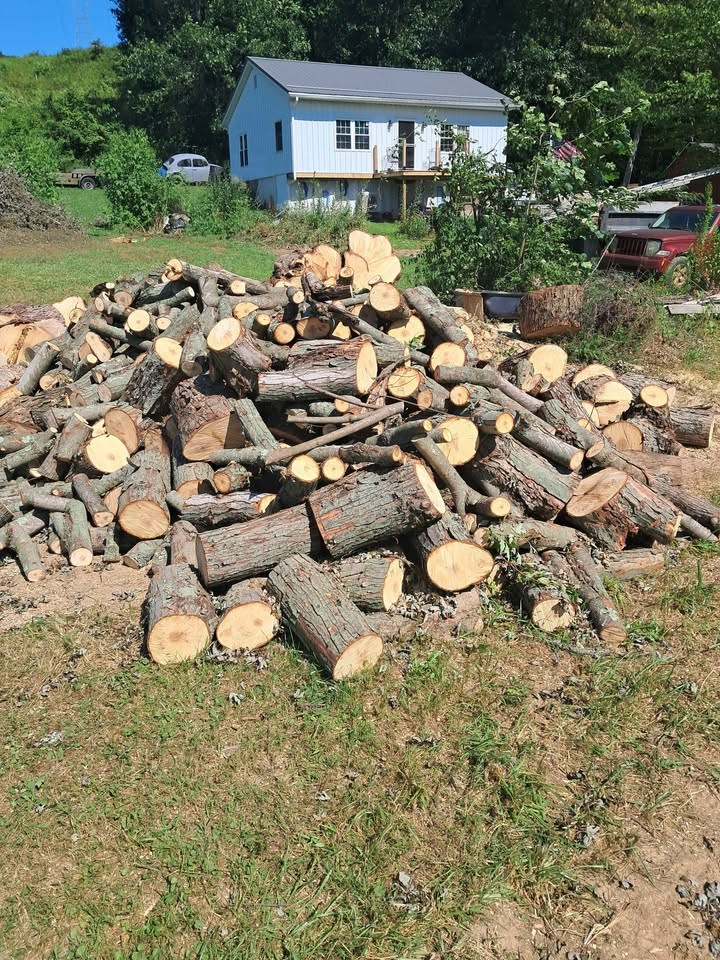 Maple, wood. - Image 3