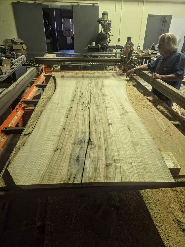 Exotic Elder Wood Slab - Image 3