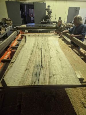 Exotic Elder Wood Slab