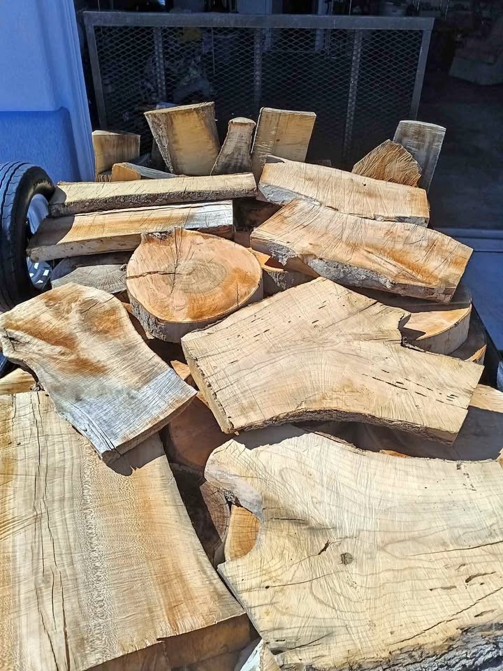 Trailer full of Sycamore sun dried slabs&rounds - Image 1