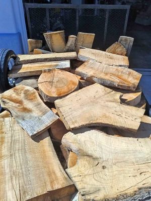 Trailer full of Sycamore sun dried slabs&rounds
