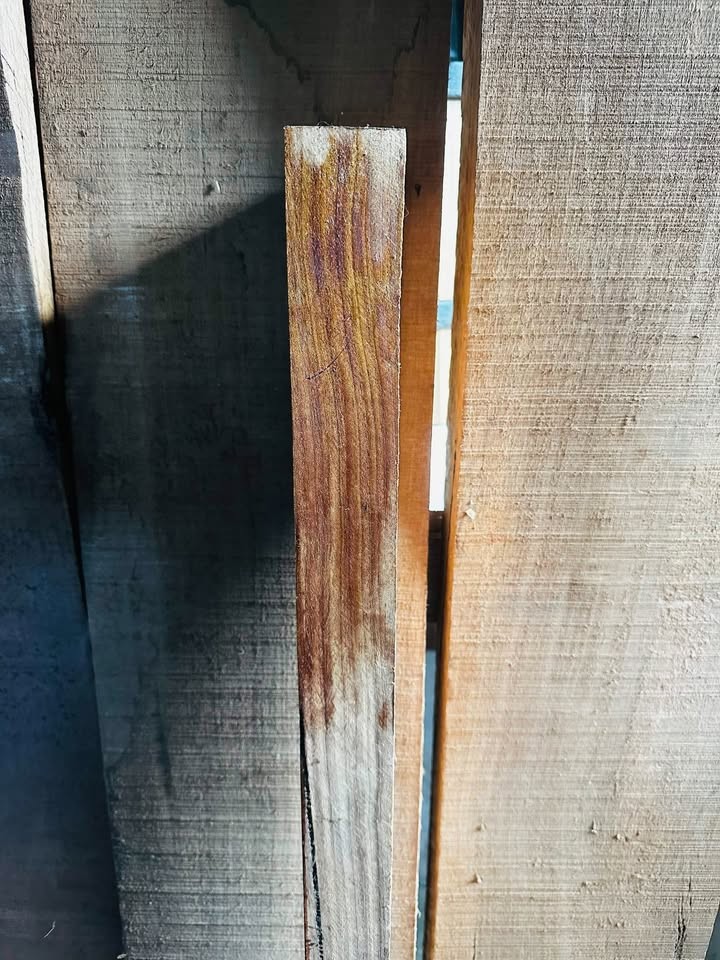 Hardwood bundle Pecky Bolivan walnut (exotic) Black walnut Maple Red oak with alot of scrap cuts - Image 2