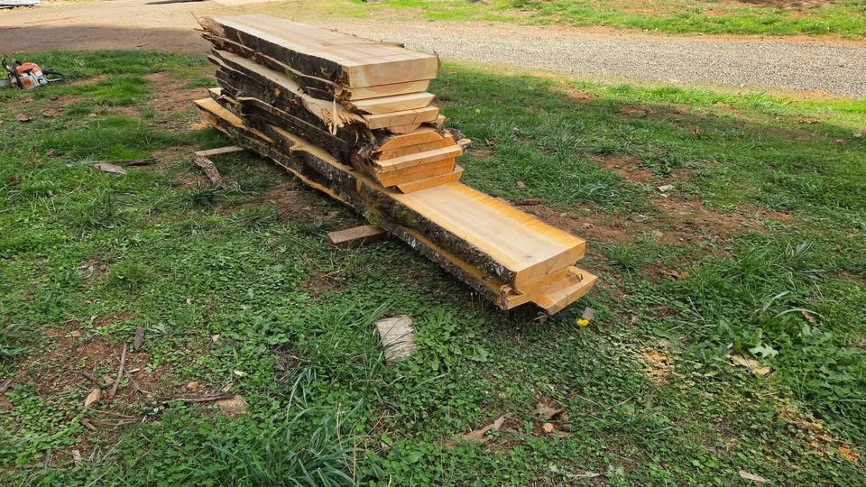 Live edge wood slabs - Image 7