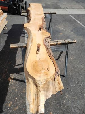 3x19x11.5ft Kiln Dried Juniper Slab - Project Wood
