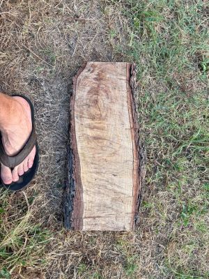 Oak slab listed for sale