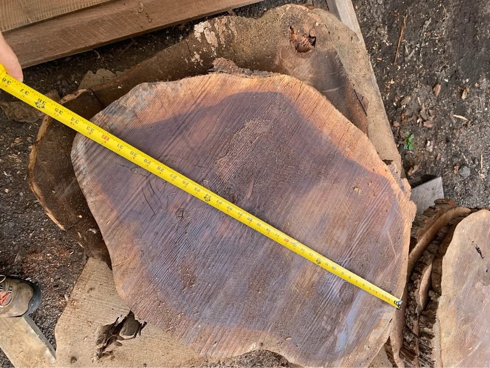 Black Walnut End Grain Slabs - Walnut Cookies - Image 3