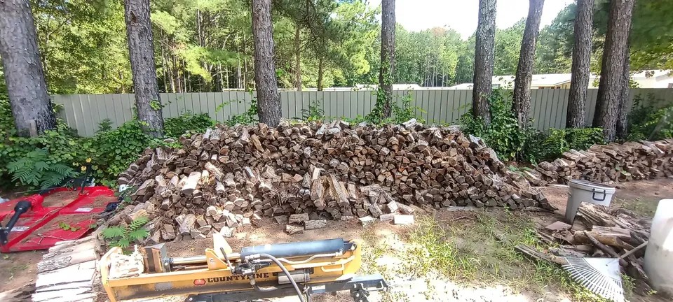 Hard Wood - Image 6
