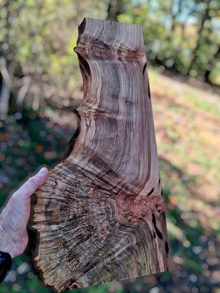 XL MIND BLOWING Birdseye MAPLE BURL Wood Blank, charcuterie blank, Live Edge Maple, EPOXY WOOD - Image 1
