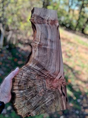 XL MIND BLOWING Birdseye MAPLE BURL Wood Blank, charcuterie blank, Live Edge Maple, EPOXY WOOD