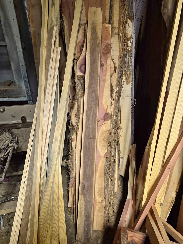 Black walnut