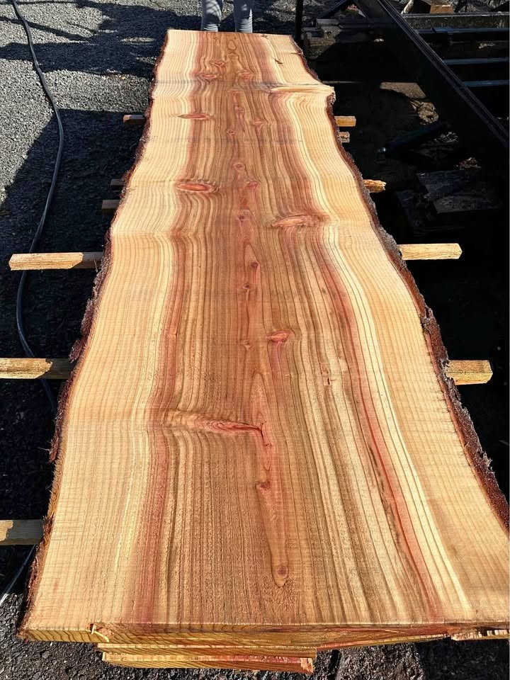 Sequoia Slabs - Image 1