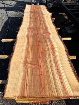 Sequoia Slabs