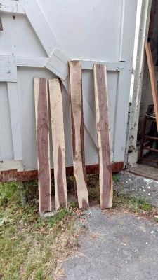 Live Edge Black Walnut Wood Slabs - Set of 4