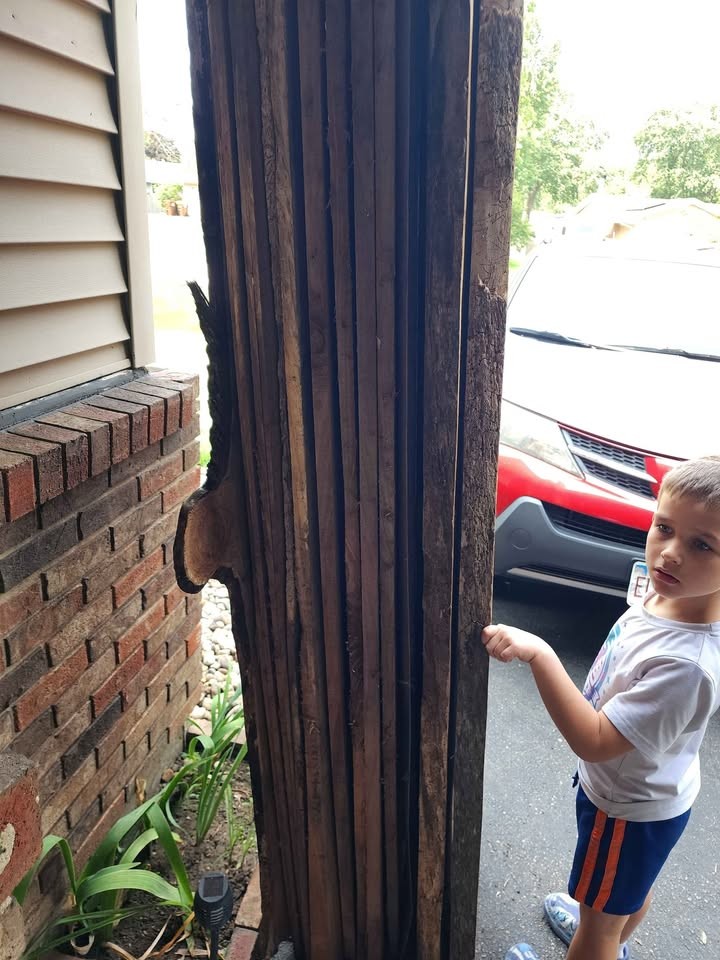 Black Walnut Boards Must Go! - Image 4