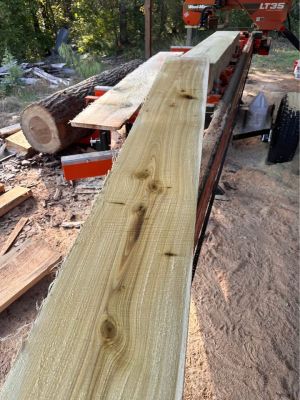 Poplar 1x12x8 lumber
