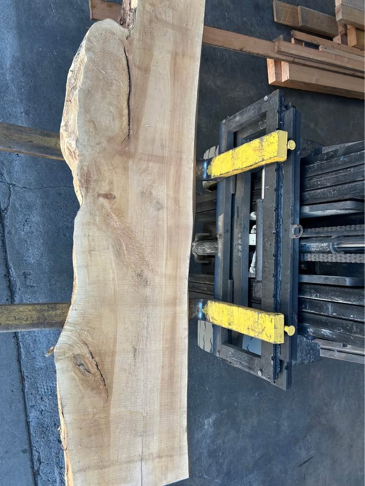 Live edge maple slabs - Image 2