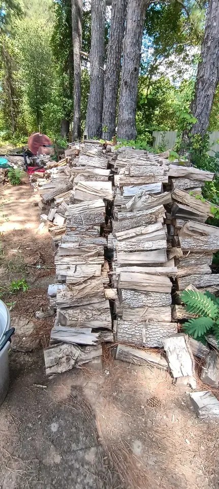 Hard Wood - Image 3