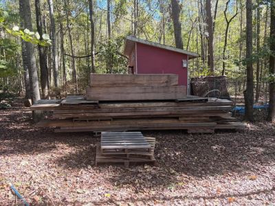 18” x 4” x 12’+ slabs of pine