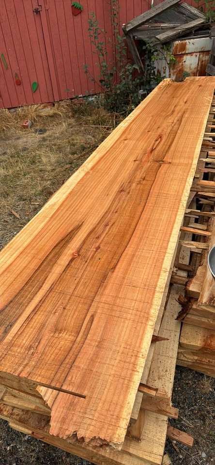 Redwood Cedar slabs - Image 2