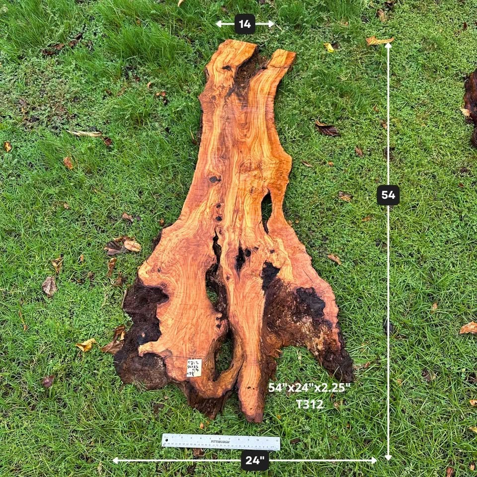 Large Live Edge Olive Wood Slabs for Tables, Resin Epoxy, Coffee Tables - Image 6