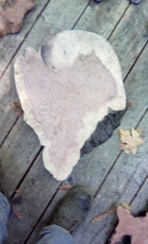 Live Edge Wood Slabs for Woodworking - Image 3