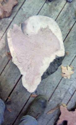 Live Edge Wood Slabs for Woodworking