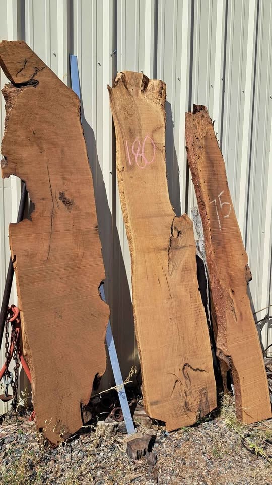 Live edge wood slabs - Image 5