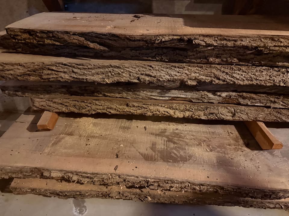 Black walnut slabs - Image 2