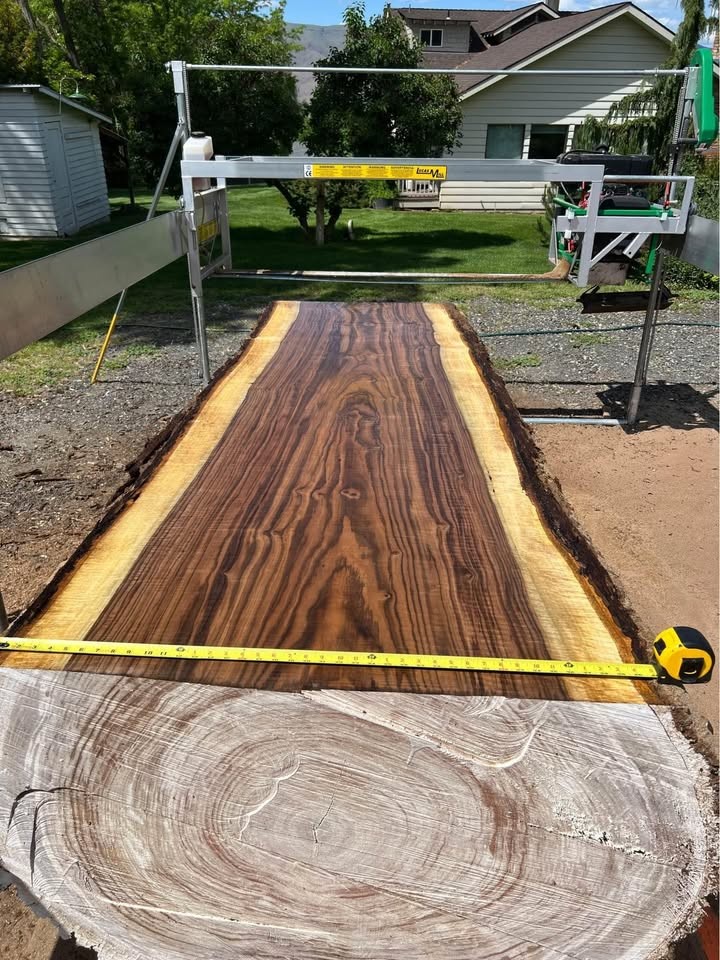 Black Walnut Live Edge Slabs - Image 3