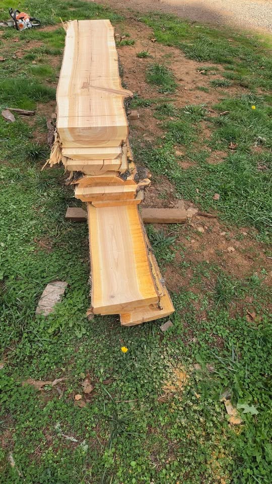 Live edge wood slabs - Image 6