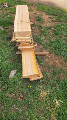 Live edge wood slabs
