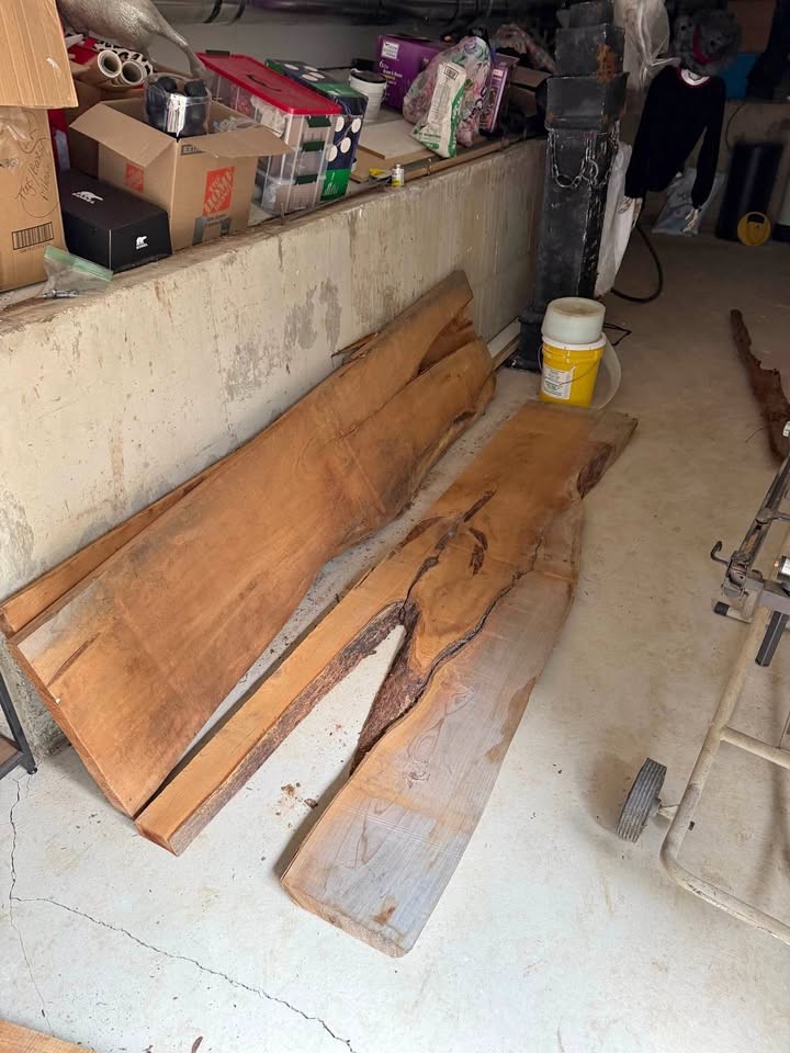 Live Edge Wood Slabs - Image 1